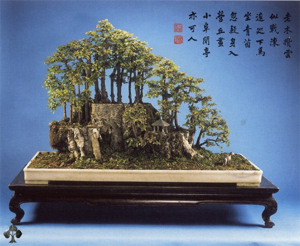 Chinese penjing landscape