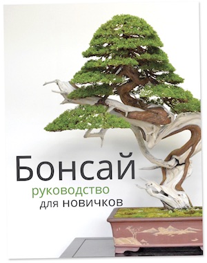 Bonsai, a beginners guide